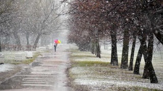 Ўзбекистонга нам ва совуқ ҳаво оқим кириб келяпти