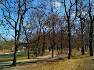 Узгидромет: в воскресенье воздух прогреется до 13 градусов тепла