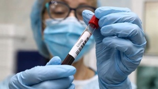 Antitanachalarga test topshirish – pulni koʻkka sovurishdir