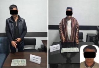 В Кашкадарьинской области выявлены факты незаконных действий, связанных с оформлением и продажей земельных участков