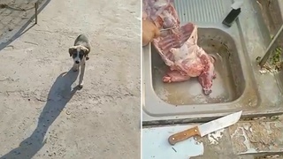 Дар вилояти Тошканд марде, ки саги худро барои гӯшт куштааст, боздошт шуд