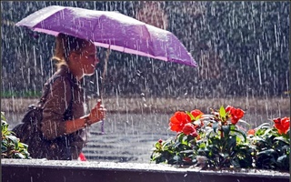 Прогноз погоды на 24 апреля