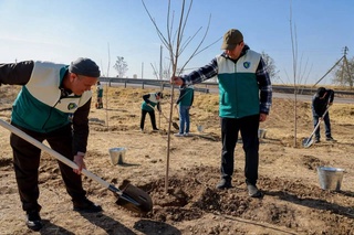 В Узбекистане стартовал осенний сезон общенационального проекта «Яшил макон»