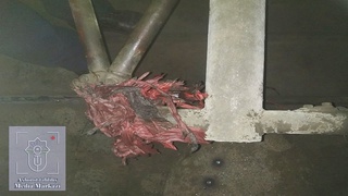 «Афросиёб» электропоезди йўлда тўхтаб қолганининг сабаби маълум бўлди