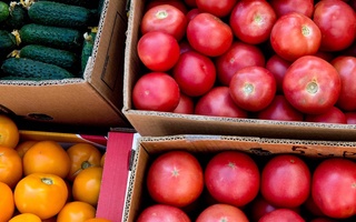 Sabzavot va mevalarning kasalligini aniqlaydigan sun'iy intellektga asoslangan tizim ishlab chiqildi