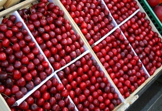 Кимларга гилос истеъмол қилиш тавсия этилмайди?