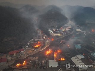 Yonhap: Janubiy Koreyada o'rmon yong'inlari qurbonlari soni 15 nafarga yetdi