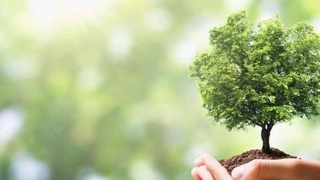 Президент қонунни рад этди