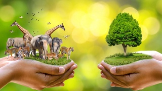 6 октября – Всемирный день охраны мест обитаний