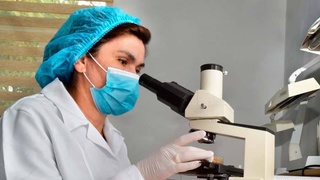 Семеноводство - ключевой фактор развития агросектора