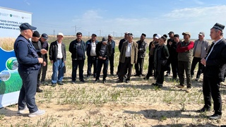 ФАО провела полевой день в Кашкадарьинской области