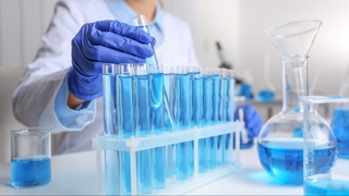 Мемлекет басшылары Технопарк жұмысымен танысты