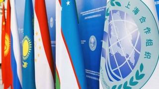 ШҲТга аъзо давлатлар минтақадаги жисмоний тарбия ва спорт истиқболларини Тошкентда муҳокама қилади