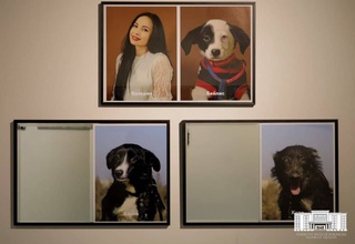 A photo exhibition "Faces and their muzzles" is being held in Tashkent