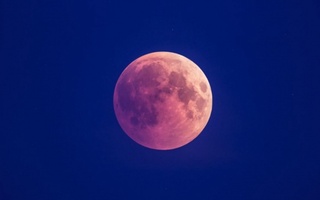 This week, Earth's inhabitants will be able to observe the "strawberry" Moon