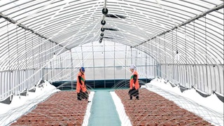 Специализация каждой махалли важна для экономики страны