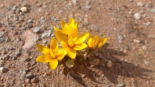 Бугун беш вилоятнинг баъзи жойларида бироз ёмғир ёғиши мумкин