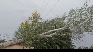 Samarqand viloyatining ayrim hududlarida elektr taʼminotida uzilishlar kuzatilmoqda