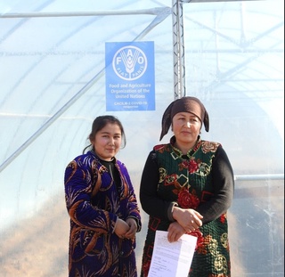 Қашқадарёдаги «темир дафтар»да рўйхатда бўлган кам таъминланган оилаларга ФАО томонидан иссиқхоналар ўрнатиб берилди