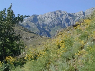 В Узбекистане расширили площадь трех охраняемых природных территорий