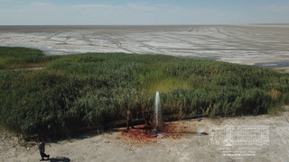 Орол тубида кичик кўл ва қамишзорлар пайдо бўлмоқда