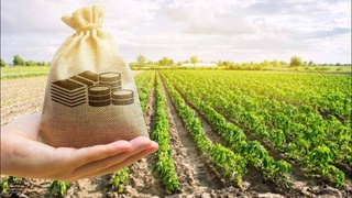 Аренда земельных участков: полезные нововведения