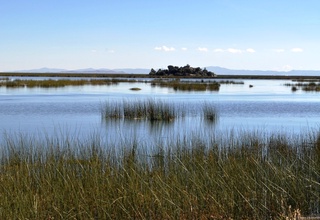 Titikaka ko'li o'ta yuqori havo harorati tufayli sayozlashib qoldi