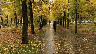 Uzhydromet: Uzbekistan will have a cool week