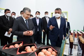 President gets acquainted with activities of agricultural enterprises in Sherabad