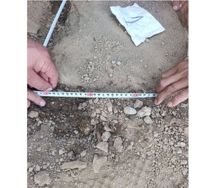 Дарахтни кесиб сўнг устидан тупроқ тортиб қўйган фуқаро жавобгарликка тортилди