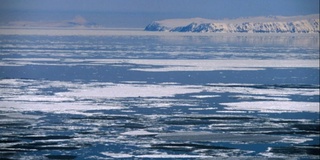 Подполковник армии США предложил США приобрести Командорские острова у России