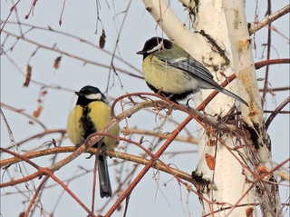 Прогноз погоды на 11 февраля