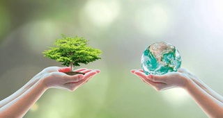 Эффективное применение  «зеленой» энергетики