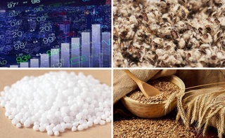 На Узбекской республиканской товарно-сырьевой бирже снизились цены на шелуху, аммиачную селитру и пшеницу