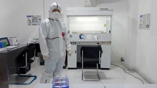 Сдать тест на COVID по корейским технологиям