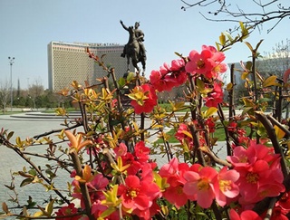 Soʻnggi uch kunda havo harorati koʻtariladi