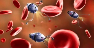 Қон томирлари бўйлаб ҳаракатланувчи митти робот яратилди