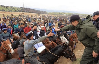 Jomboyda bo‘lgan ko‘pkarida Alisher polvon "Boying" laqabli otida "Cobalt"ni qo‘lga kiritdi