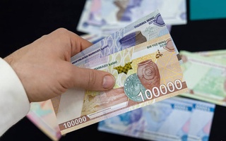 Лицам, сообщившим о растрате бюджетных средств, будут выплачивать премию