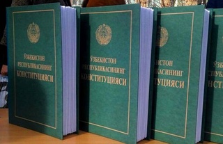 Конституционные гарантии защиты прав потерпевших от преступлений и злоупотреблений властью