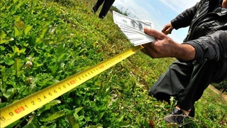 Самарқанд ва Қашқадарё вилоятларида ер майдонларини ноқонуний сотиш ҳолатлари аниқланди