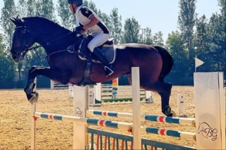 От спортининг конкур йўналиши бўйича Тошкент шаҳар биринчилигида ғолиблар аниқланди