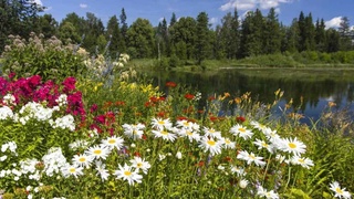 Пешгӯии обу ҳаво барои 3 август