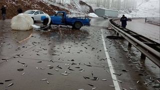 Қамчиқда ҳодиса “балиқ ёмғири” эмас эди