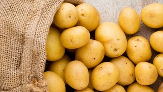 Узбекистан импортировал рекордное количество картофеля