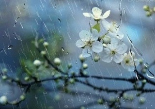 Прогноз погоды на 9 марта