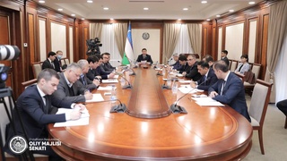 Комитетом Сената заслушана информация МИВТ об исполнения «дорожной карты» по итогам визита в Индию