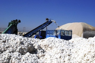 В Узбекистане один сезон работы в хлопкоочистительной промышленности переходит в один год трудового стажа