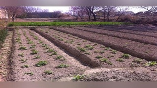 Қыйтақ жер – дәрамат дереги