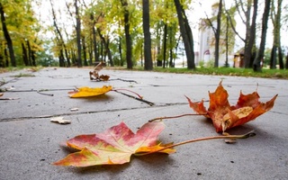 Дам олиш кунлари юртимизда қандай об-ҳаво кутилмоқда?